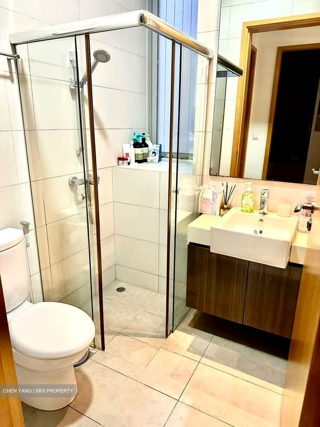 D' Chateau @ Shelford (D11), Apartment #595576021